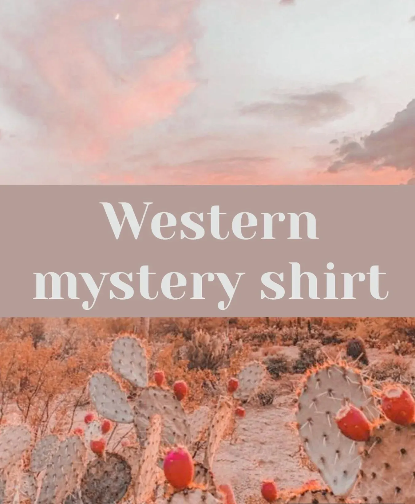 Western mystery Tee